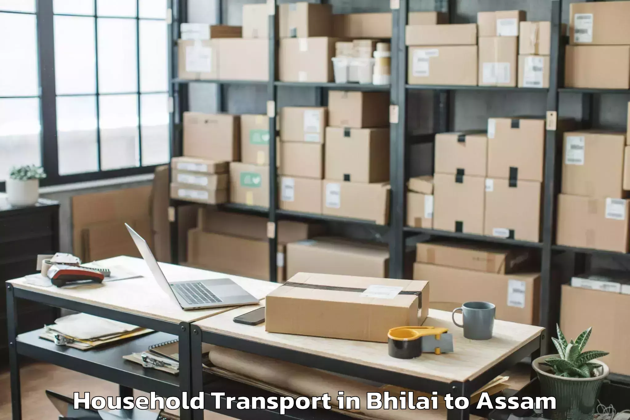 Get Bhilai to Baganpara Household Transport